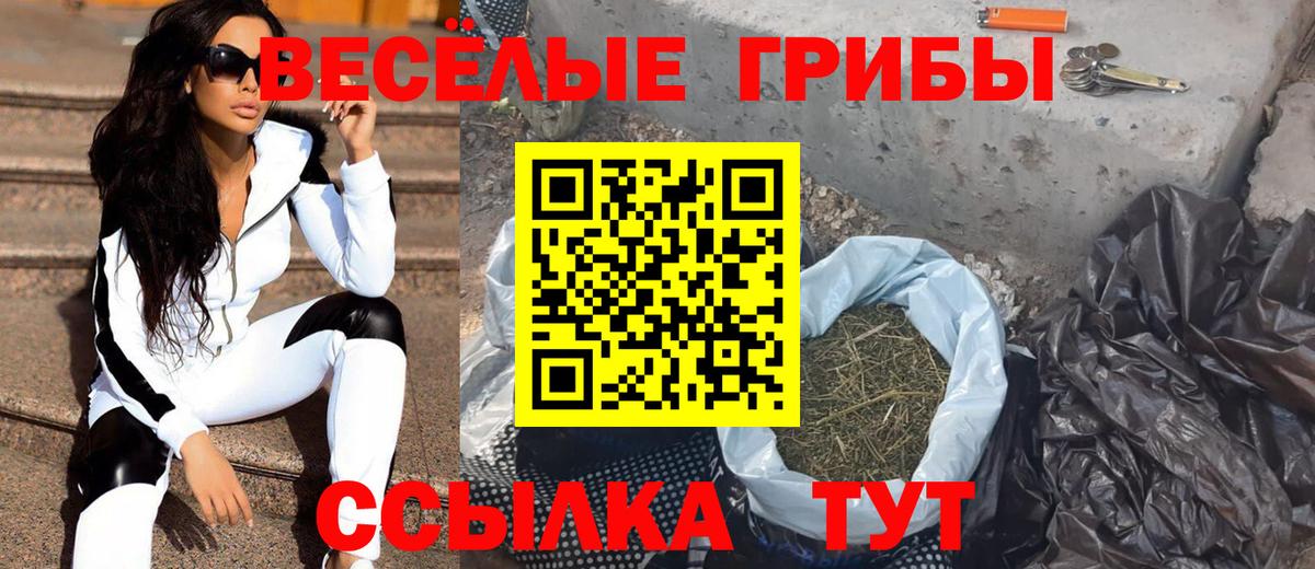 Киров  наркота  Псилоцибиновые грибы Psilocybe  Вход с VPN  Галлюциногенные грибы мухоморы 