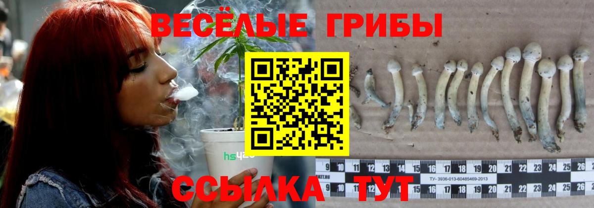 Галлюциногенные грибы прущие грибы Киров